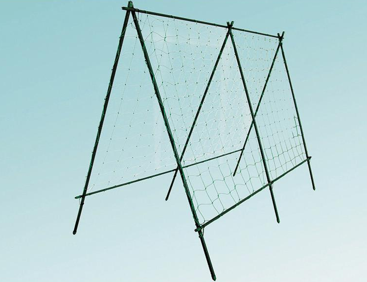 Plant Supports